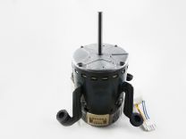 58MV660005.jpg
